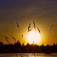 Закат солнца зимой :: Сергей Швечков