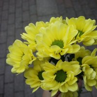 нежность :: Наталия Кольцова