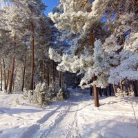 зимняя сказка :: михаил Архангел