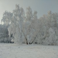 Туманное утро :: Валентина Богатко 