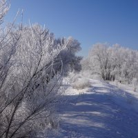 Зимнее :: Наталия Григорьева