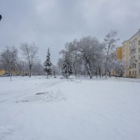 В городском сквере зимой :: Александр Синдерёв