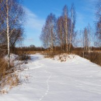 Кто - то наследил. :: Милешкин Владимир Алексеевич 