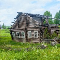 Такова жизнь! :: Александр Силинский