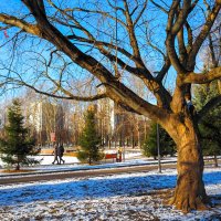 ***** :: юрий поляков