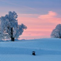 winter morning :: Elena Wymann