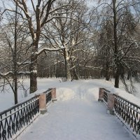 Зима в Царском Селе :: Наталья Герасимова