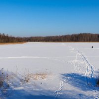 Для рыбака любая рыбалка праздник (репортаж из поездок по области) :: Милешкин Владимир Алексеевич 