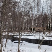 Река Гороховка. :: Ольга 