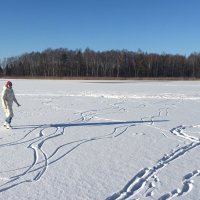 На катке "Озёрный"... :: Владимир Павлов