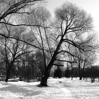 К солнцу! :: Василий Палий