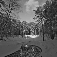 Ручей :: Сергей Швечков