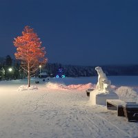 Зимний вечер у озера :: Ольга 