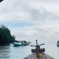 на абордаж :: Ирина Картина