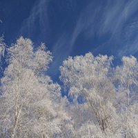 Зимний день :: Сергей Швечков