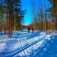 Февраль...Двое влюбленных на лыжне! :: Владимир 