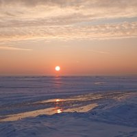 Февральский закат на Финском заливе. :: Лия ☼