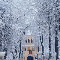 Липовая алея  ведущих к храму :: Сергей Кочнев