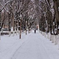 Давно у нас такой зимы не было :: Игорь Сикорский