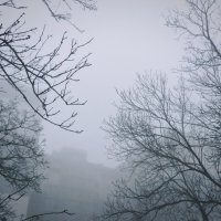 А на город упал туман :: Tanya Nikorovskaya