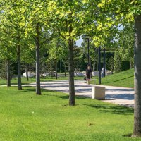 Парк Галицкого в городе Краснодар :: Игорь Сикорский