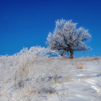 Последние аккорды февраля... :: Наталья Димова