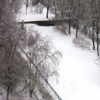 Порадовало на зиму - завтра ВЕСНА ! :: Юрий Куликов