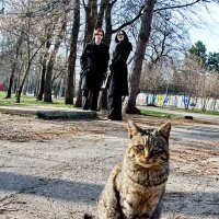 Весна пришла...правда да...? :: Николай Саржанов