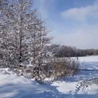 В окрестностях Калининграда :: Рита Симонова