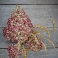 Прощай, зима :: Татьяна Машошина