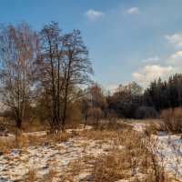 Подмосковная зима. 7 :: Андрей Дворников