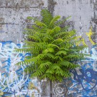 Чарующий фрагмент набережной :: Коля Лукашов