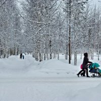 Утро февраля после снегопада! :: Владимир 