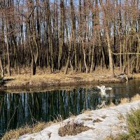 Весне на встречу :: Сеня Белгородский