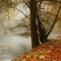 В лёгком осеннем тумане :: Юрий. Шмаков