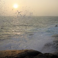 Живой океан... :: Галина Ильясова