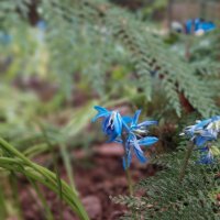 приметы весны :: ИРЭН@ . приметы весны :: ИРЭН@ .