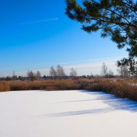 Зимний пейзаж (репортаж из поездок по области). :: Милешкин Владимир Алексеевич 