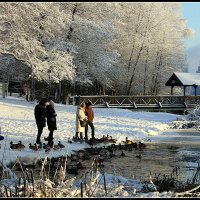 Помоги ближнему... :: Aleksandr Gal
