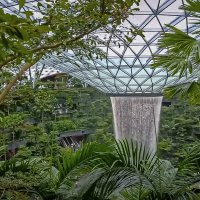 Сингапур :: Aleksey Afonin