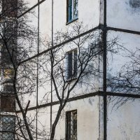 Дерево & девятина :: Коля Лукашов