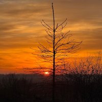 *** :: Яна Горбунова *** :: Яна Горбунова