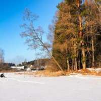 Рыбак под склонившейся сосной (репортаж из поездок по области). :: Милешкин Владимир Алексеевич Рыбак под склонившейся сосной (репортаж из поездок по области). :: Милешкин Владимир Алексеевич