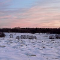 Лес за рекой Полонка :: Артем 