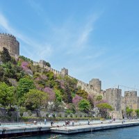 Румелихисар :: Алексей Просвиряков