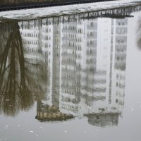 Калининград :: Рита Симонова