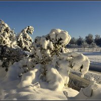 Намело... :: Aleksandr Gal