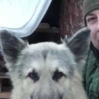Бродяга :: Валерий Степанов
