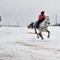 Летите лошади, летите... )) :: Владимир Хиль