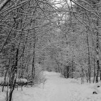 ...the last? :: AL Reborn 